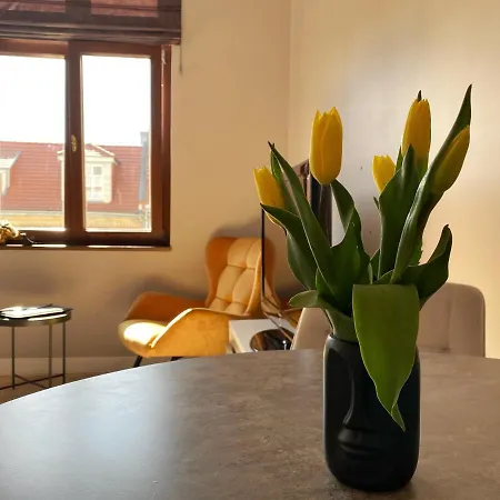 Apartament_poznan Ch10